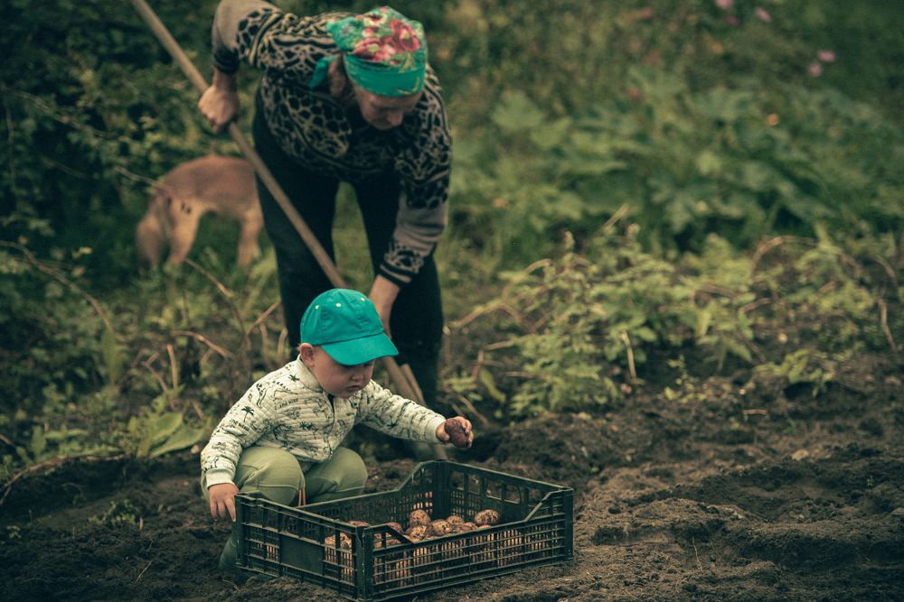Photograph by Николай Дибров