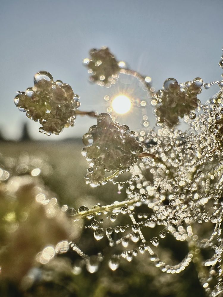 Photograph by Лариса Акинчиц