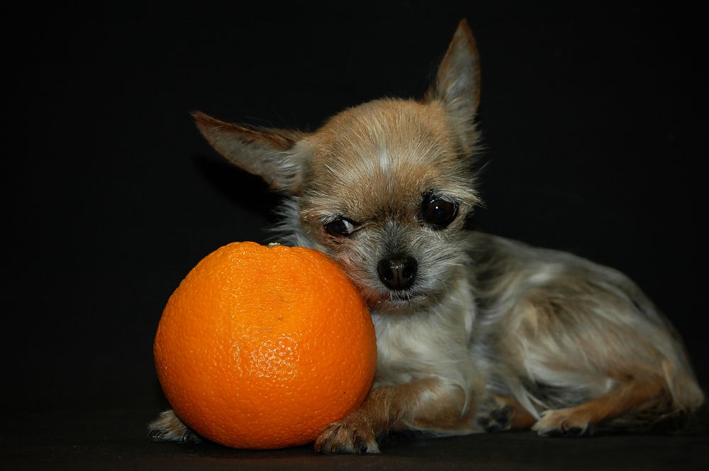 Photograph by Диана Ульянцева