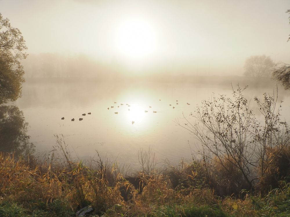 Photograph by Ольга Лыткина