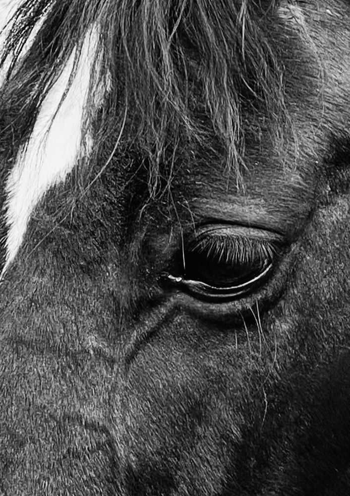 Фотография автора ГУЗАЛИЯ ГАНИЕВА