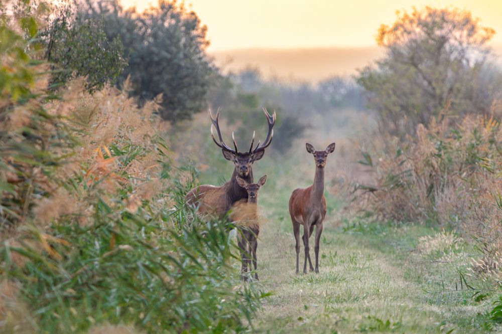 Photograph by George Alexandru Ghiuro