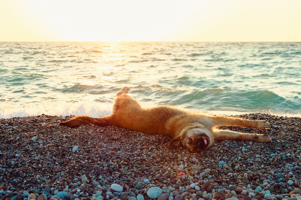 Photograph by Алеся Сафарова