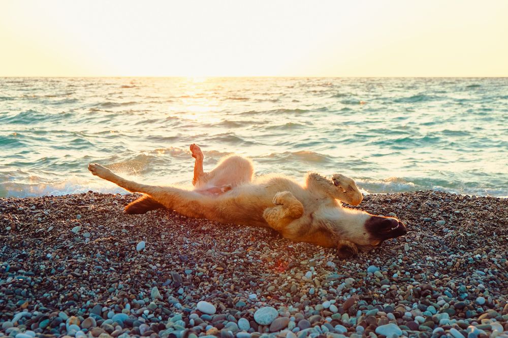 Photograph by Алеся Сафарова