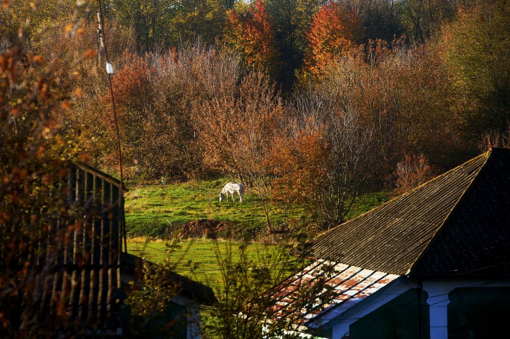 Photograph by Кристина Присакарь