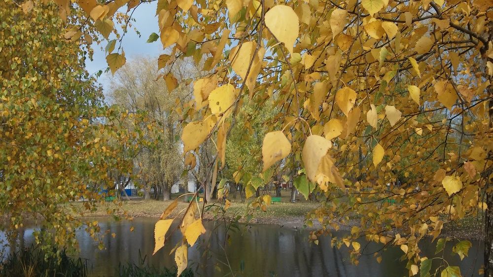 Photograph by Елена Лещева