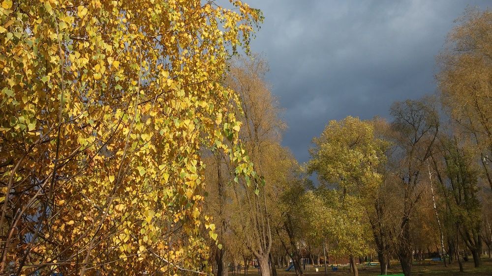 Photograph by Елена Лещева