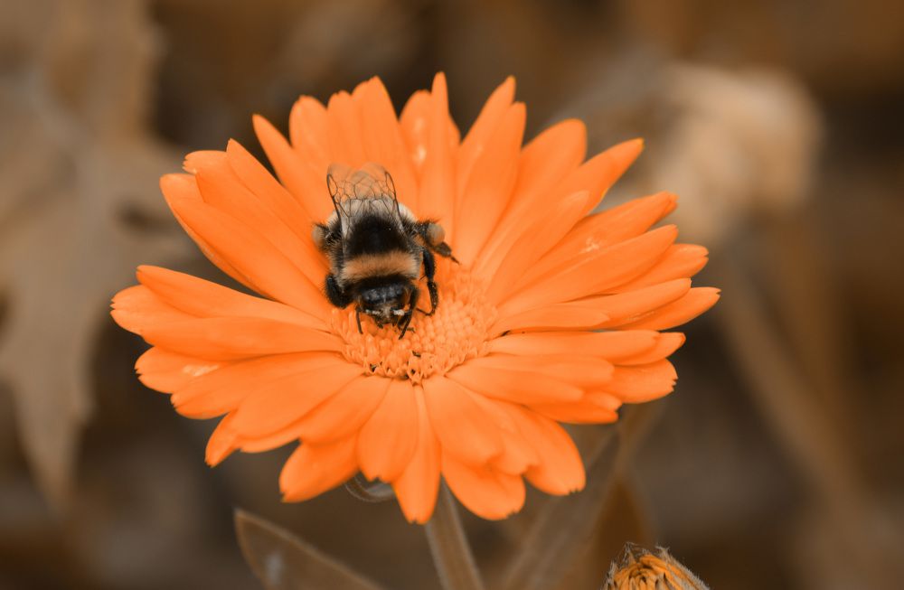 Photograph by Наталья Зверева