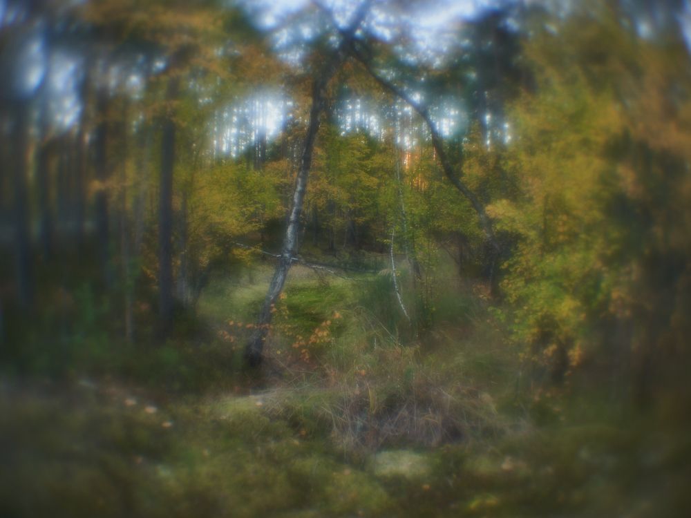 Photograph by Татьяна Блохина