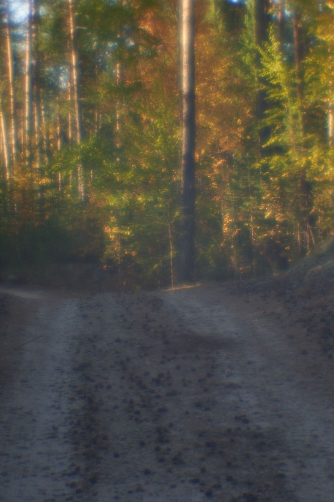 Photograph by Татьяна Блохина