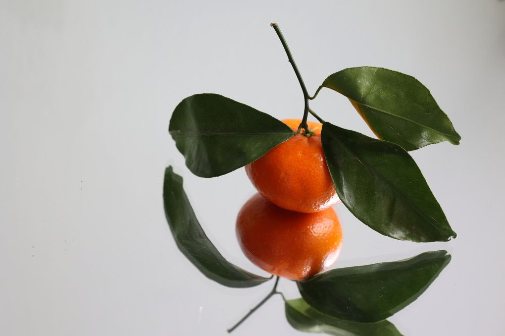 Photograph by Tatiana Serova