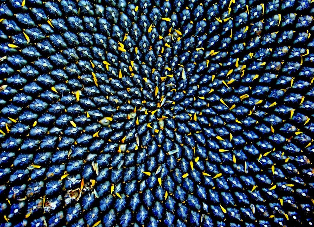 Photograph by Дмитрий Симагин