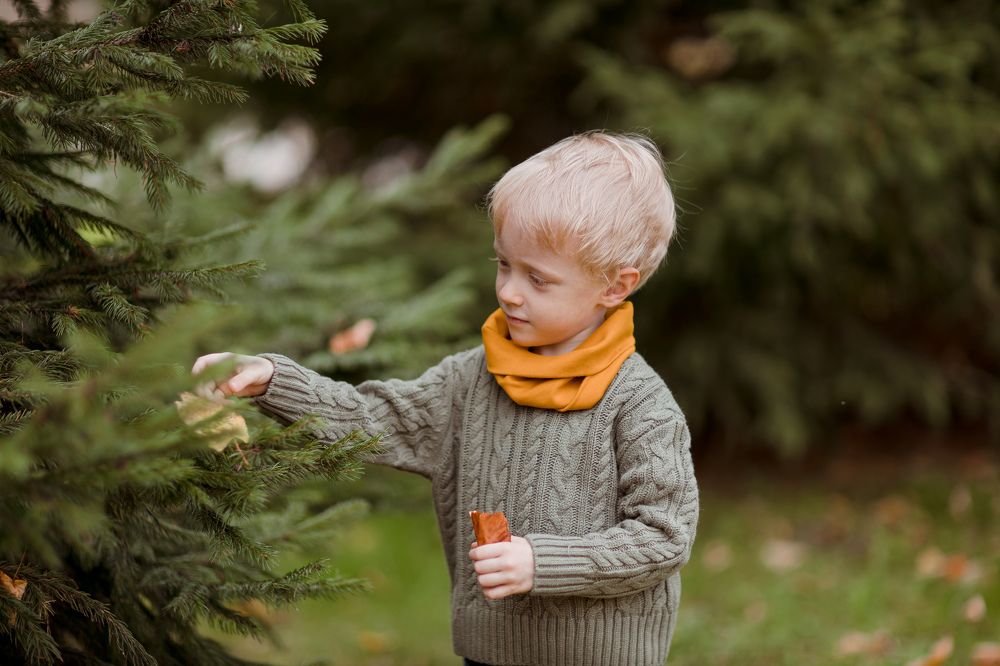 Photograph by Ольга Саламахо