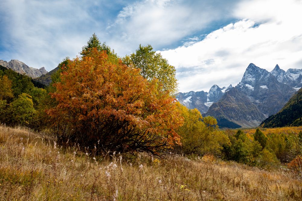 Photograph by Евгений Еськов