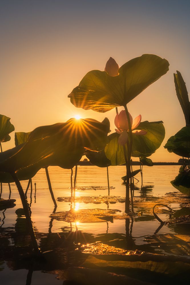 Photograph by Полякова Наталия