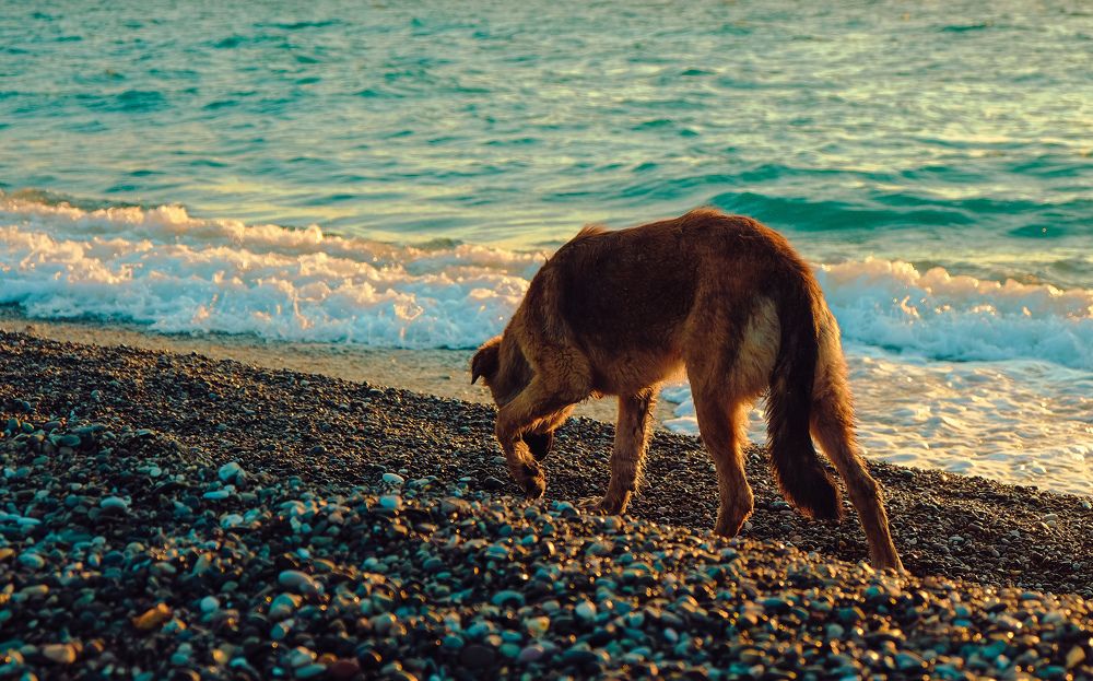 Photograph by Алеся Сафарова