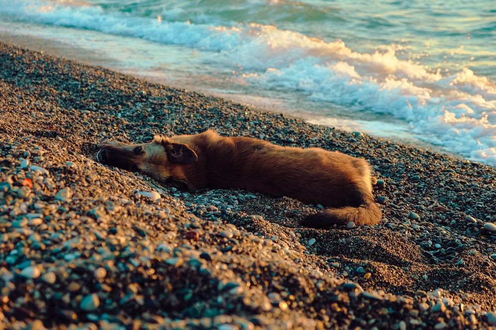 Photograph by Алеся Сафарова