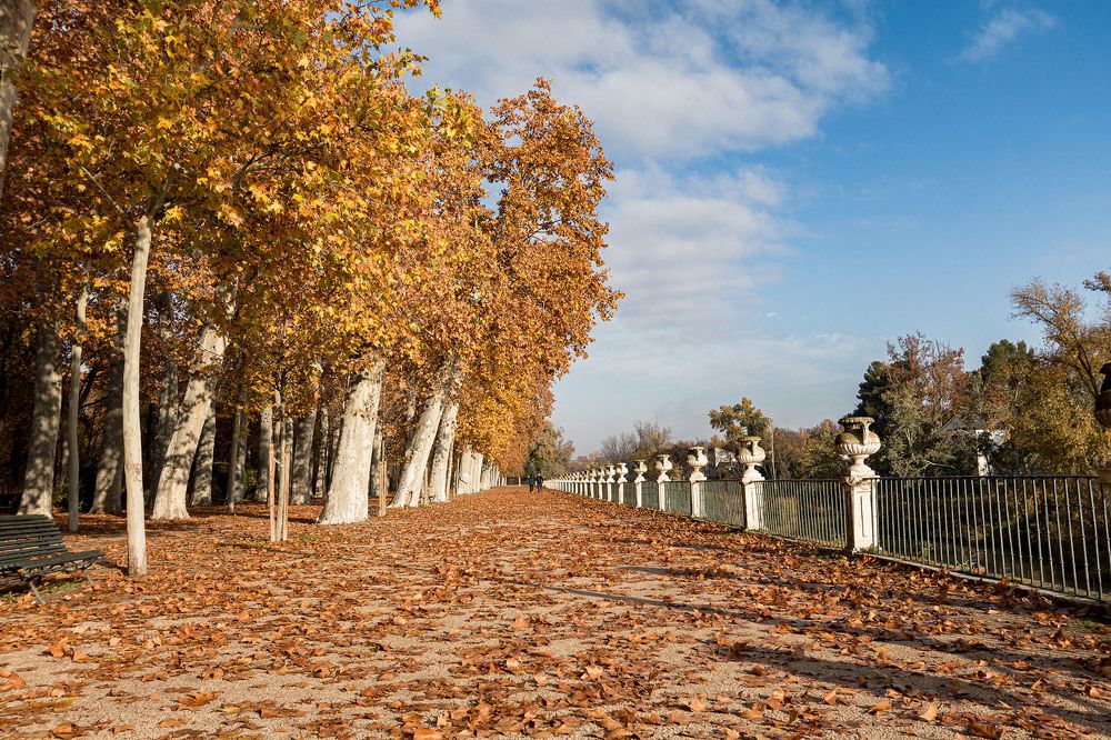 Photograph by Santiago Mata