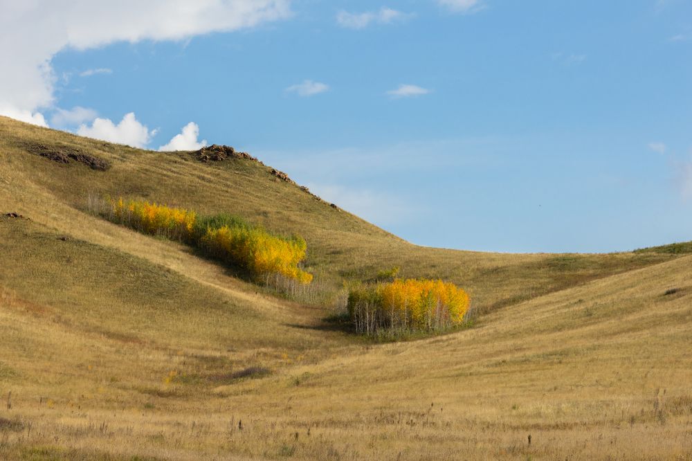 Photograph by Анжелика Сороколетова