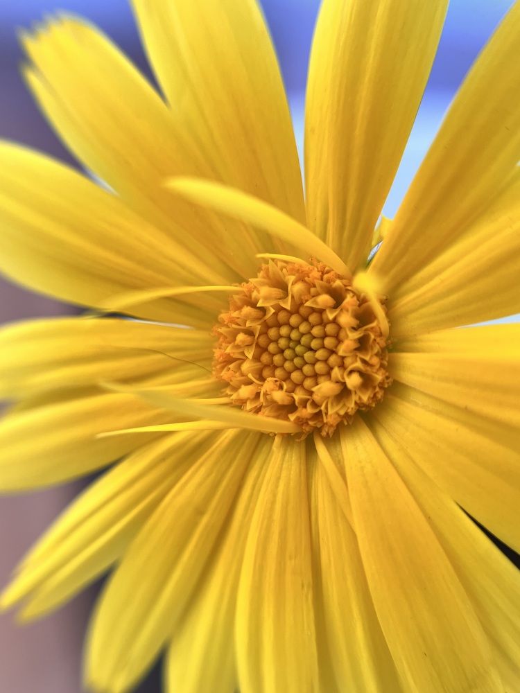 Фотография автора Ирина Мосько