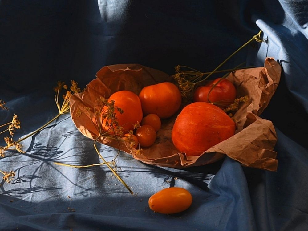 Photograph by Аnna Pashkova