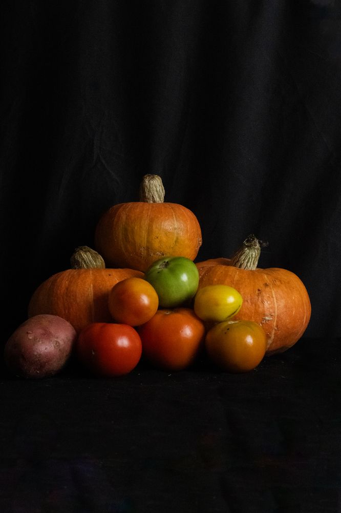 Фотография автора Егор Пешков