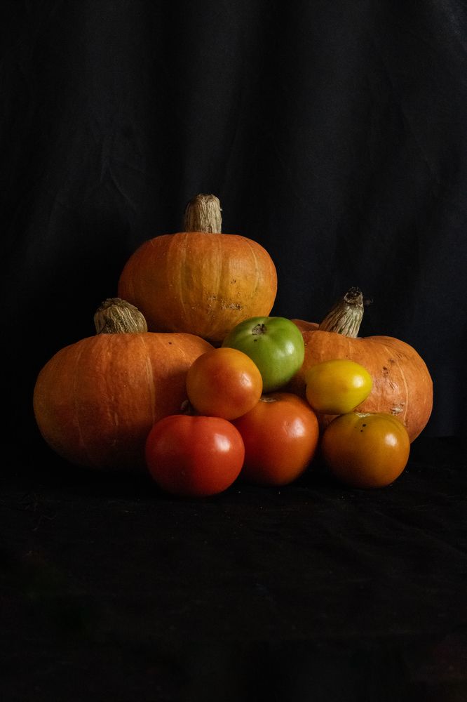 Фотография автора Егор Пешков