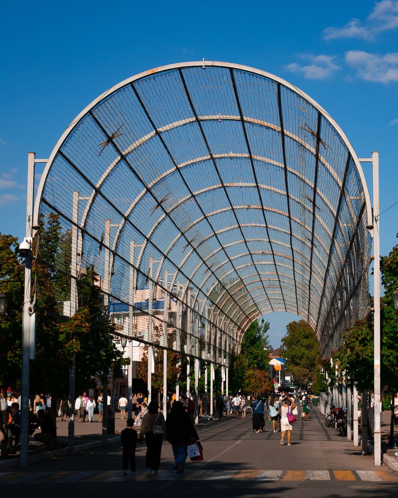 Фотография автора Жанна Шорина