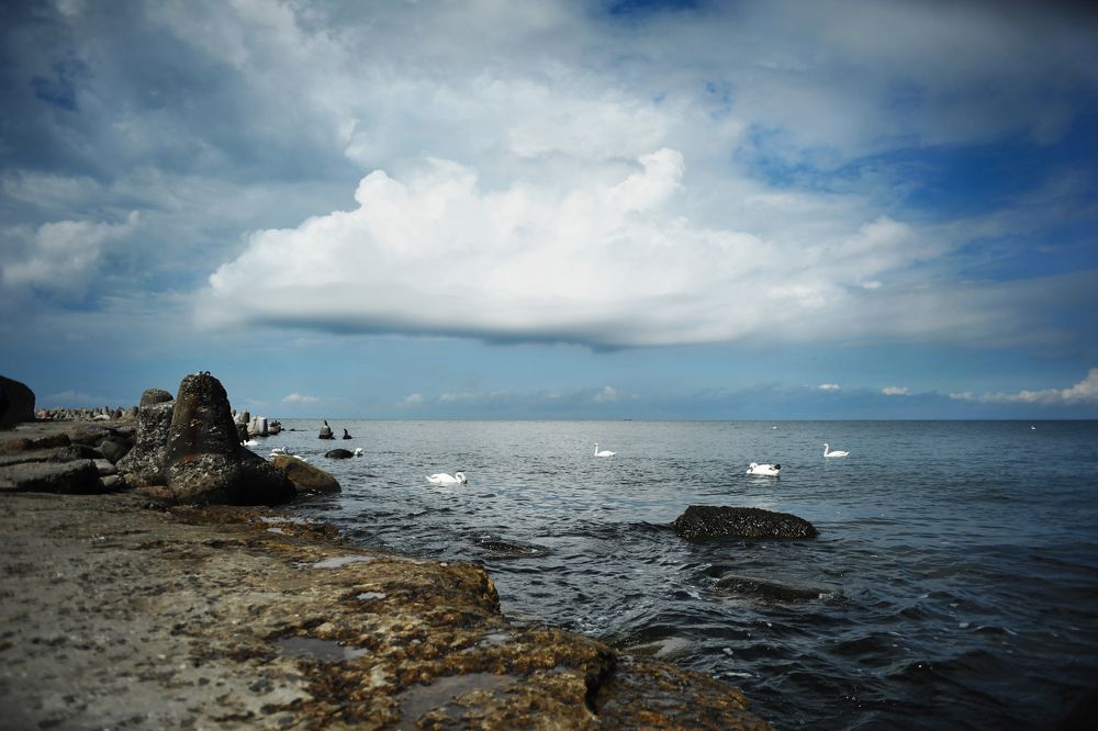 Photograph by Кондрачук Сергей