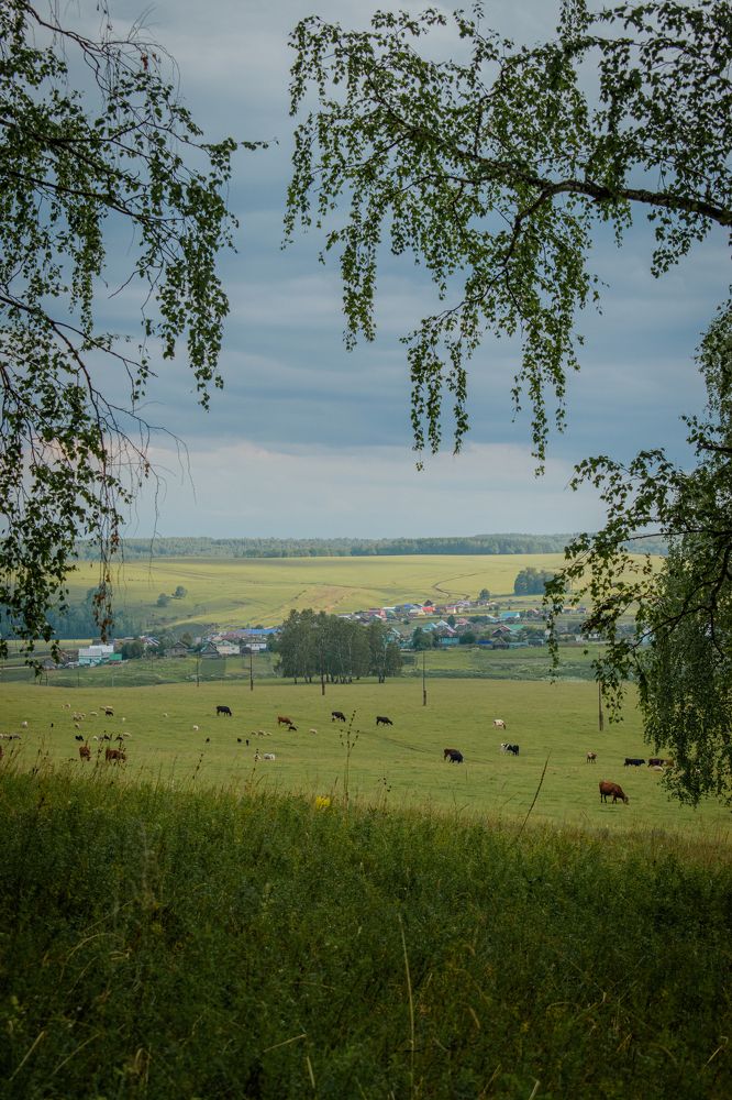 Пастбища Башкирии