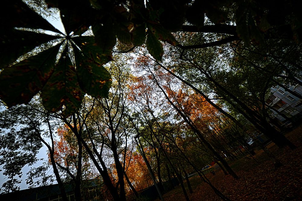 Photograph by Вадим Гераскин