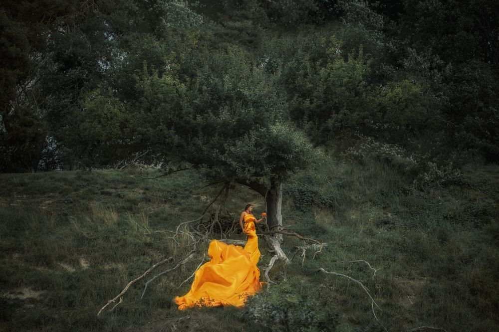 Photograph by Гаврилова Оксана