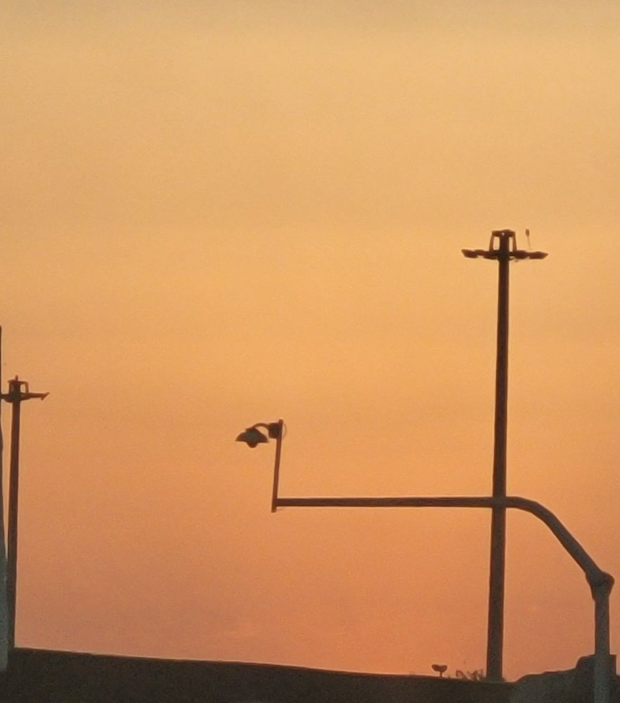 Photograph by Rahele Almassi