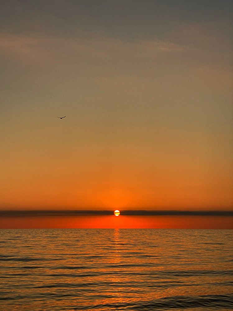 Фотография автора Екатерина Круглик