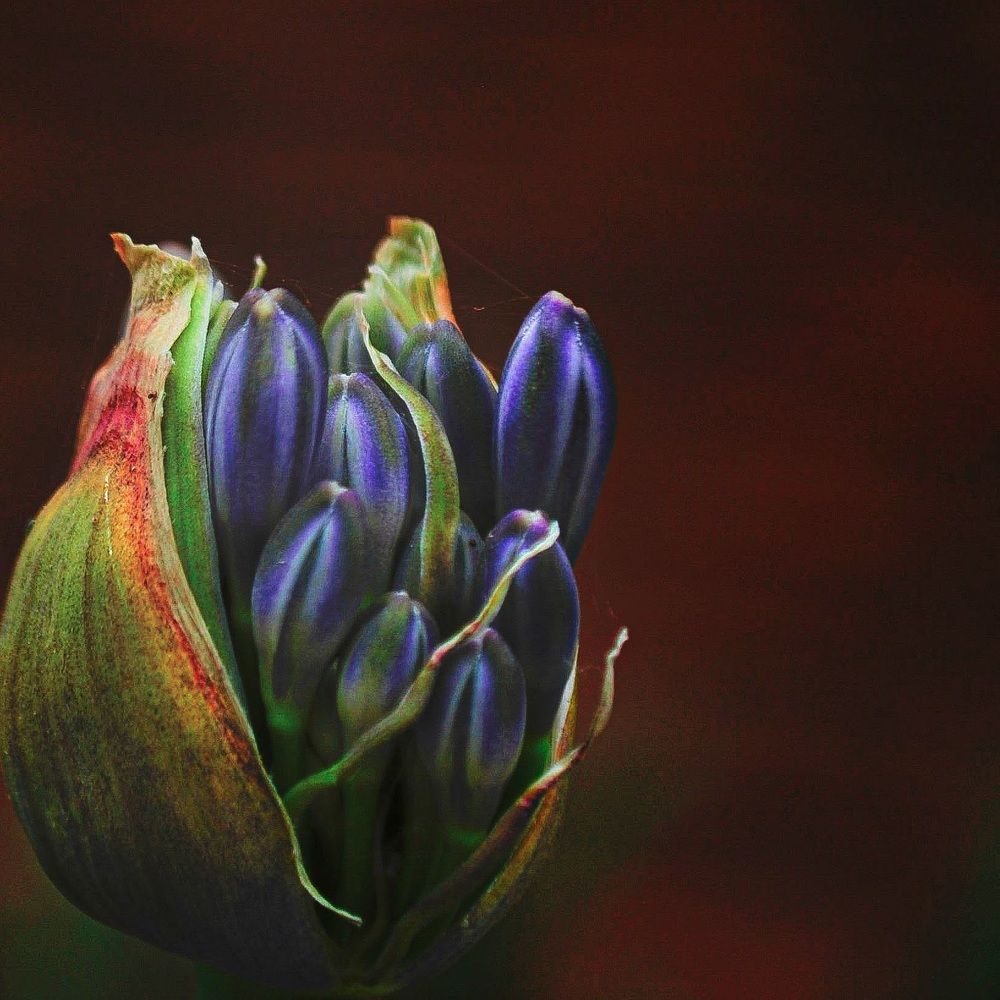 Photograph by Silvina Sánchez