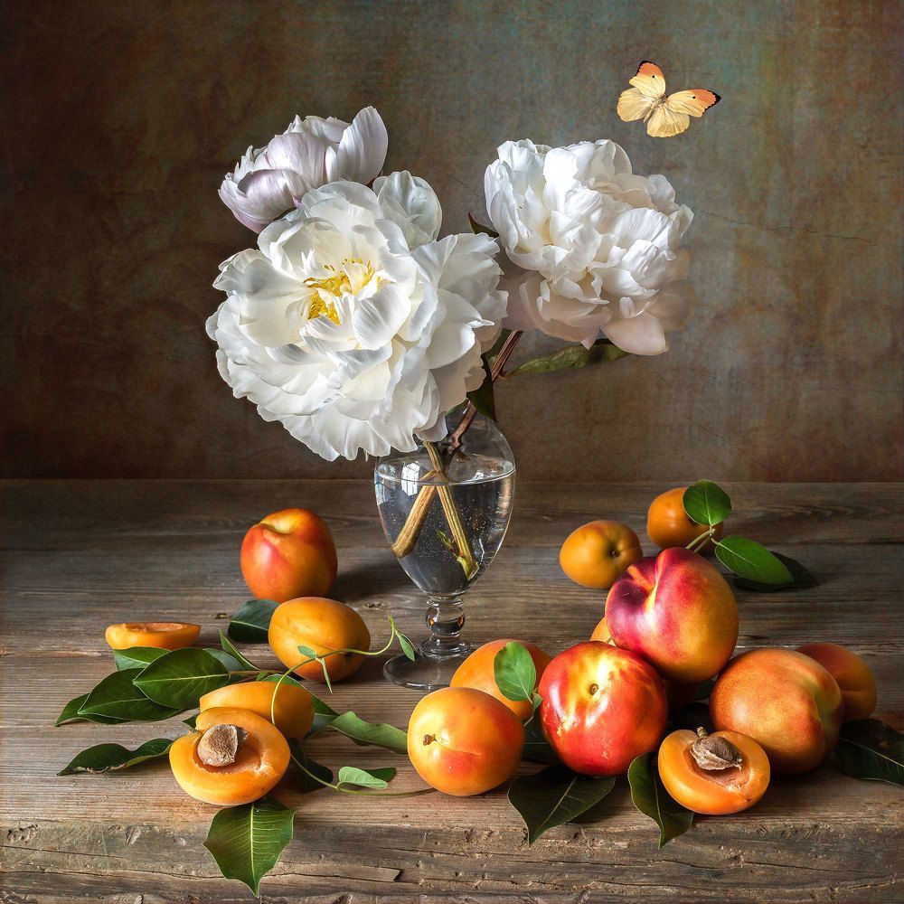 Photograph by SLUTSKAYA YANA