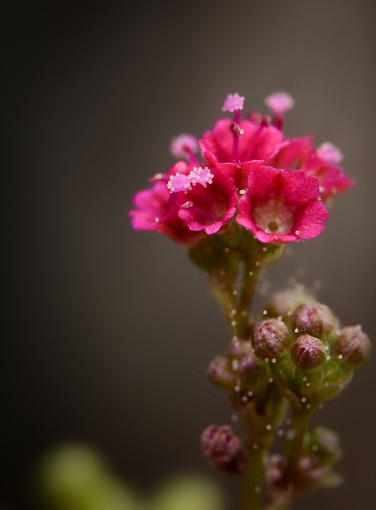 Photograph by Kasun Wickramasinghe