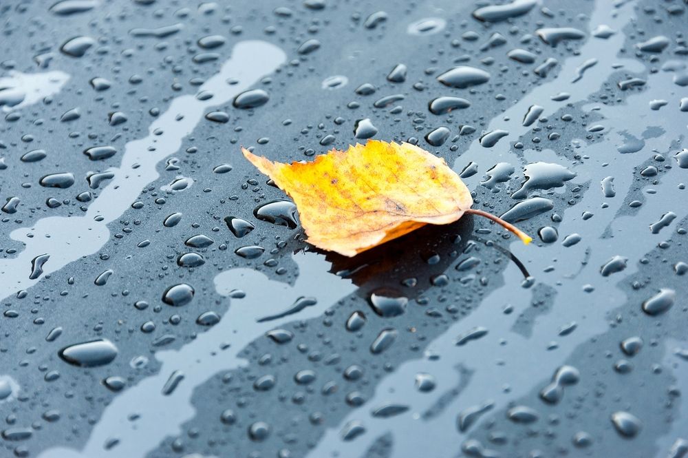 Photograph by Valery Kleymenov