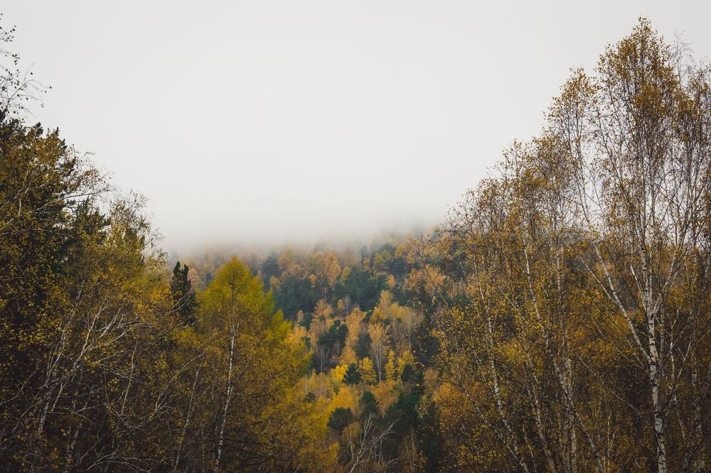 Photograph by Ольга Макарова