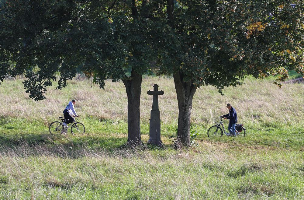 Фотография автора Mojtaba Chenari