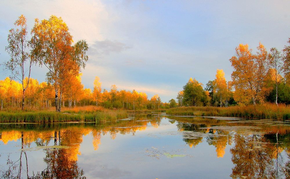 дыхание осени.