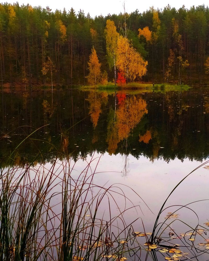 Photograph by Olga Kot