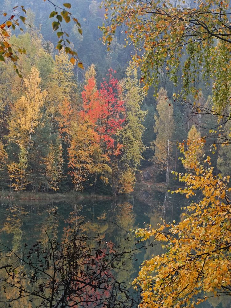 Photograph by Мила Милая