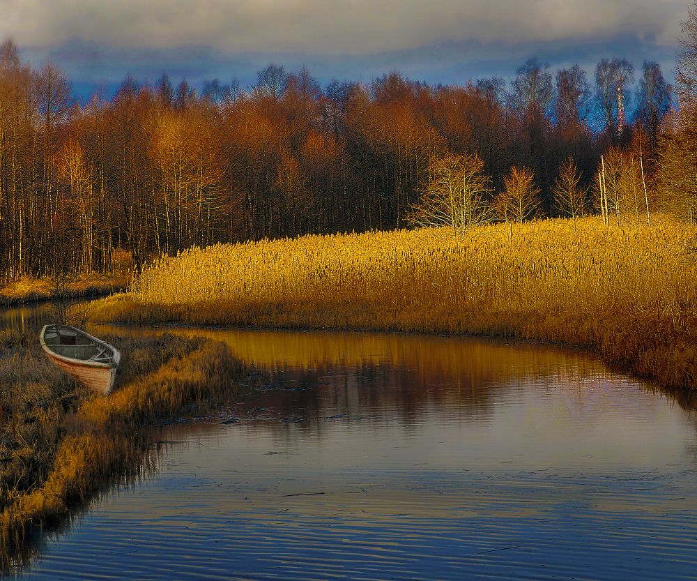 Photograph by Александр Завьялов