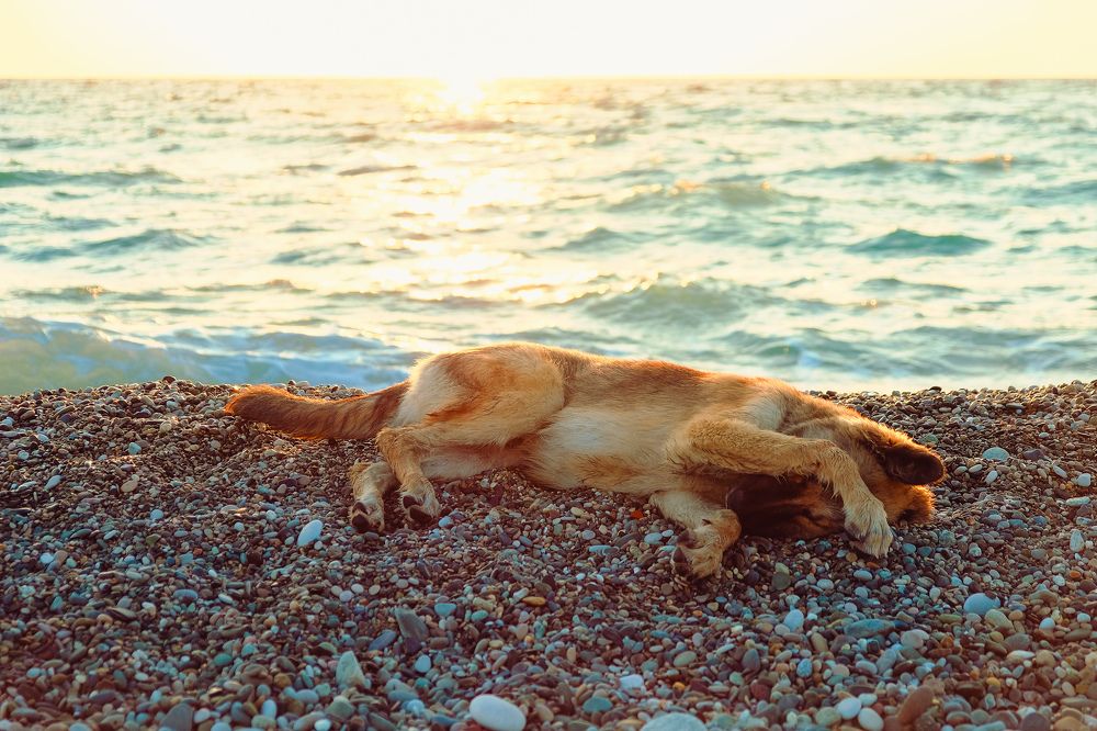 Photograph by Алеся Сафарова