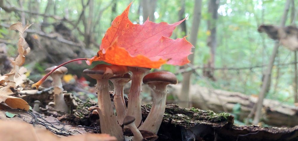 Фотография автора Сергей Можаев