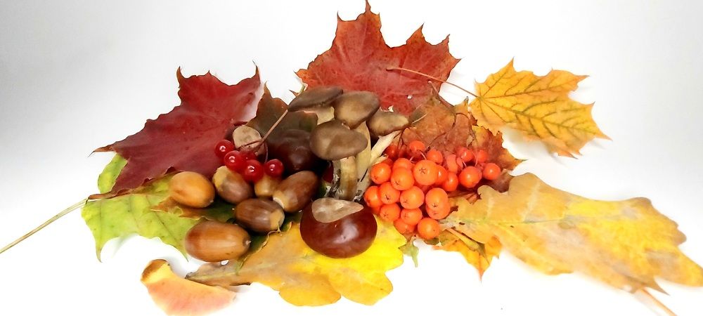 Фотография автора Сергей Можаев