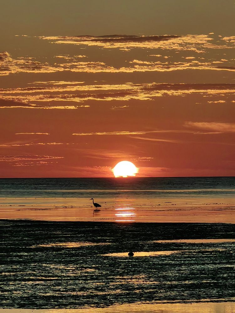 Photograph by Александр Девочкин