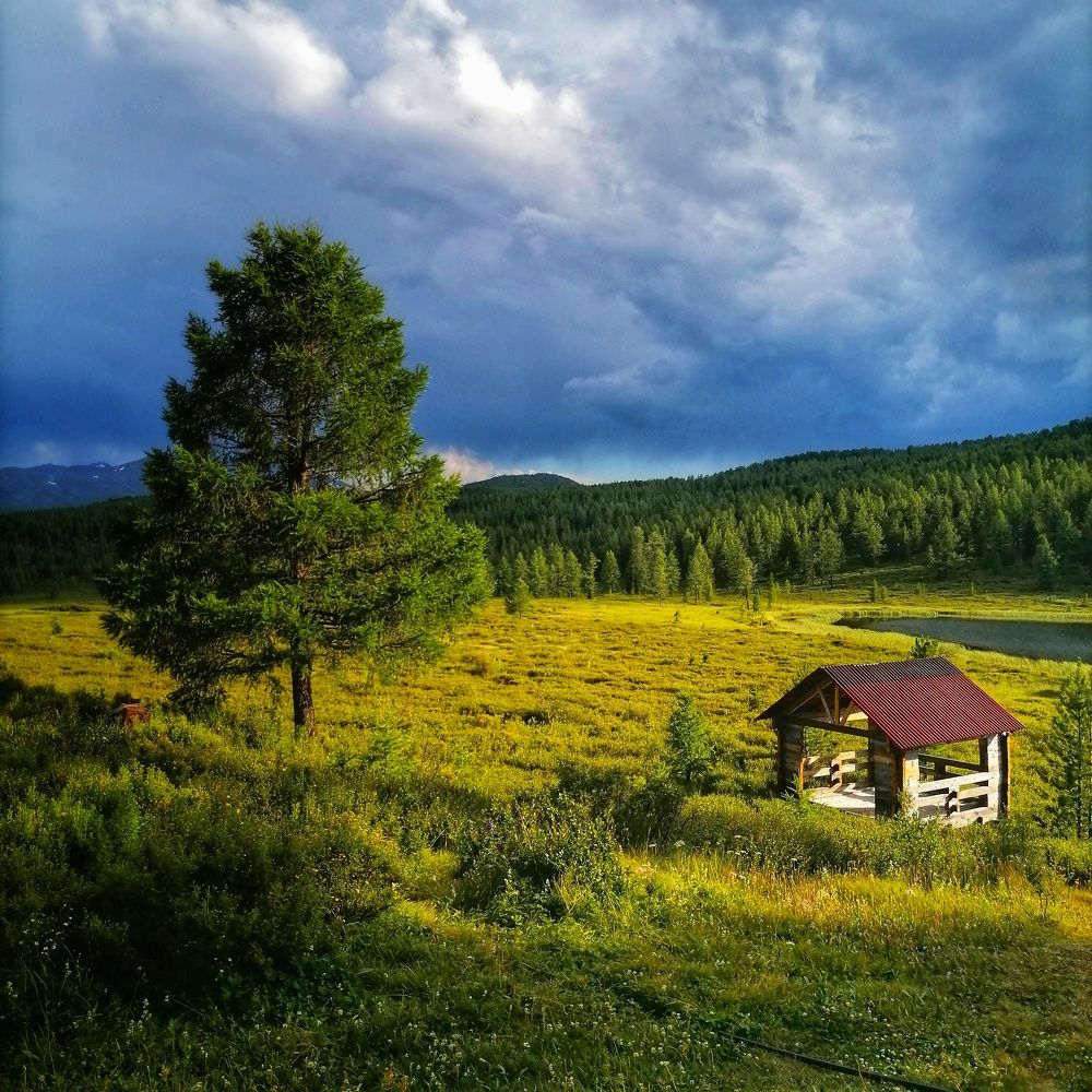 Photograph by Оксана Кабакова