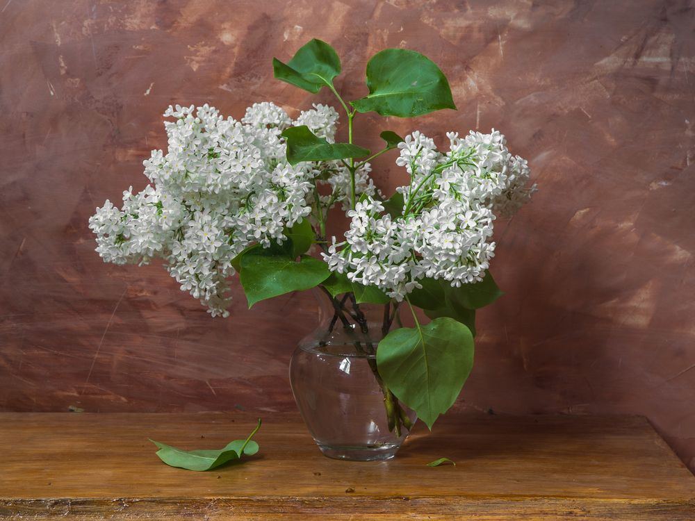 Photograph by Сергей Алексеев